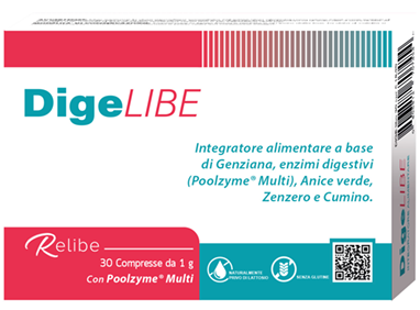 IN20) DigeLIBE